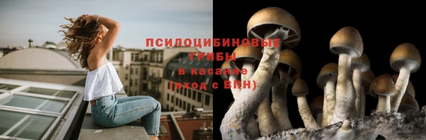 прущие крисы Беломорск