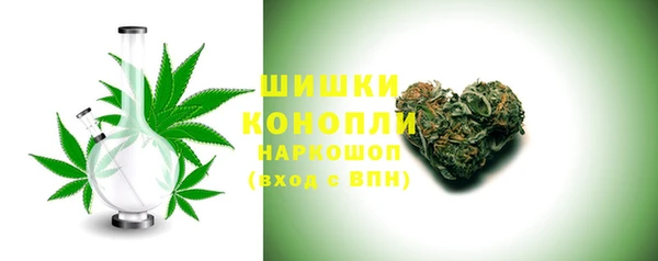 прущие грибы Богородицк