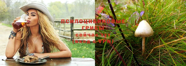 мдма Богданович